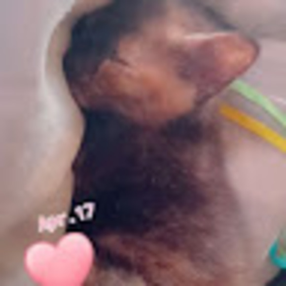 ratliffjade08